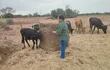 Pequeños productores con sus animales afectados por la sequía.