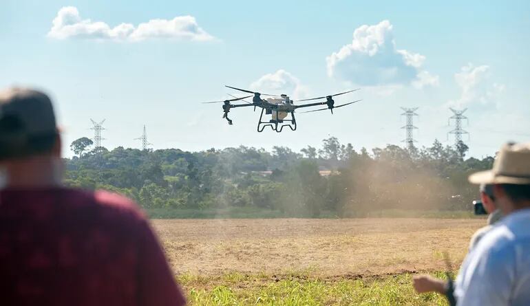Los drones se utilizan cada vez más en las labores del campo en nuestro país.
