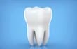 diente premolar