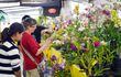 hermosas-opciones-de-orquideas-sugiere-flor-shopping-para-regalar-a-las-madres--205933000000-1457120.jpg