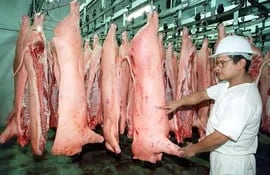 Productos porcinos no podrán ser importados temporalmente de Alemania. (Foto ilustrativa).