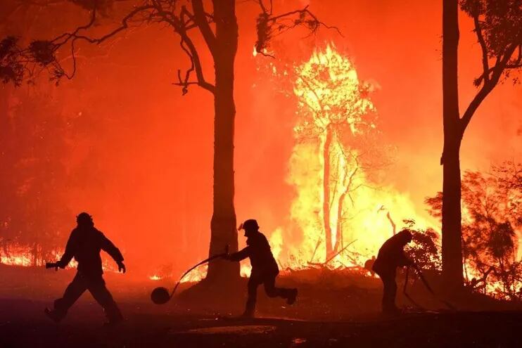Los incendios forestales están ayudando a profundizar la crisis medioambiental en nuestro país.