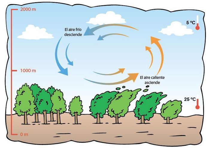 Don Globo O La Forma Del Aire Pdf www.abc.com.py