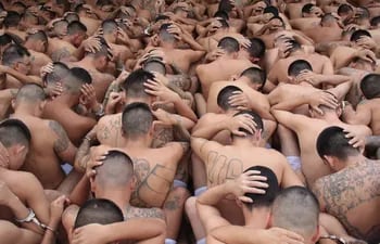 Imagen cedida por la oficina de prensa de la presidencia de El Salvador que muestra miembros de la pandilla salvadoreña Mara Salvatrucha y Barrio 18 en una de las cárceles de este país. (AFP)
