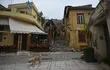 perros y gatos abandonados en Grecia
