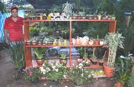 variedad-de-plantas-para-regalar-o-adornar-el-jardin-en-estas-fiestas-135753000000-1413746.jpg