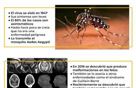 Fiebre del Zika