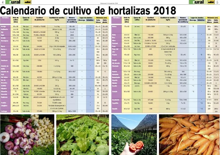 Calendario de cultivo de hortalizas – 2018 - ABC Rural - ABC Color