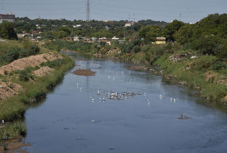 El arroyo Mburicaó, de Asunción, mejoró su aspecto durante la cuarentena. Incluso fue el sitio favorito de bandadas de aves.