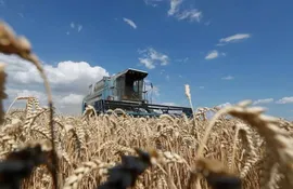 Agricultores ucranianos.