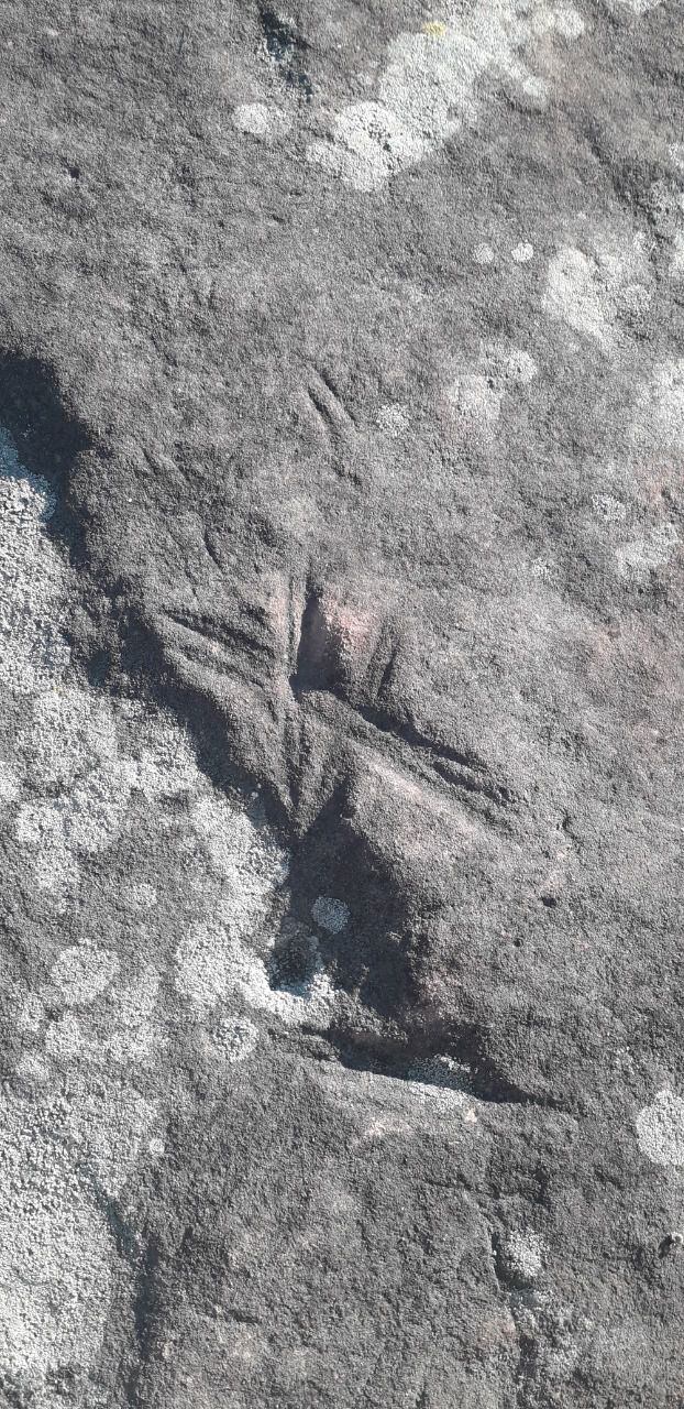 Otra de las inscripciones encontradas por el P. Silverio talladas en rocas que se extiende a una amplia zona, en Santa Rosa, Misiones.