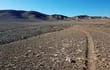 Desierto de Atacama (norte de Chile), en el corazón del yermo, donde un equipo de científicos recolectó muestras en busca de microorganismos. En el suelo se aprecian las placas de Petri usadas para localizarlos.