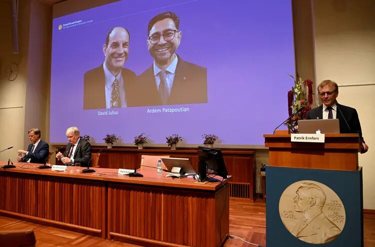 Patrik Ernfors (der), miembro del Comité Nobel de Fisiología o Medicina, junto a una pantalla que muestra a los ganadores del Premio Nobel de Fisiología o Medicina 2021 David Julius (izq) y Ardem Patapoutian, durante una conferencia de prensa en el Instituto Karolinska en Estocolmo, Suecia, el 4 de octubre de 2021.