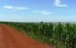 expondran-sobre-evolucion-de-la-agricultura-paraguaya-73532000000-1581959.JPG
