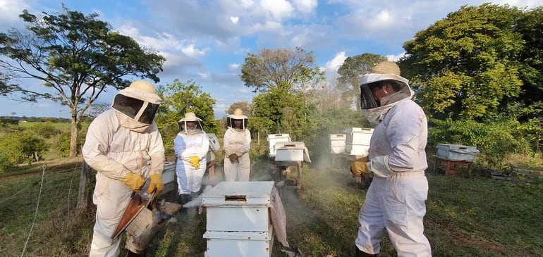 Una de las actividades de la granja de los hermanos Cubas en Alto Paraná es la apicultura.