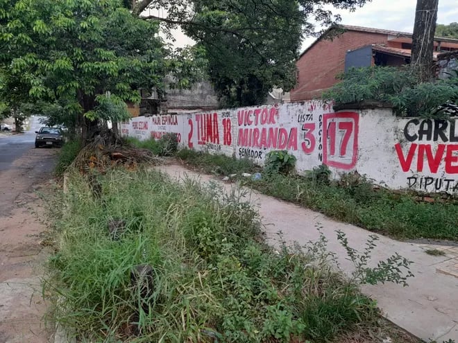 La esquina de 33 Orientales y Cerro Corá, del barrio Bernardino Caballero, se ganó el título de "paseo" de los yuyales y los mosquitos, en plena crisis sanitaria a consecuencia del Chikunguña.