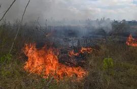El 100% de los últimos focos de incendios en Asunción fueron provocados, dijo el director de prevención de la Municipalidad Alejandro Buzó. Comentó que necesitan la fuerza de la Policía Nacional y la Fiscalía (que no actuaron ayer) para detener a los responsables.