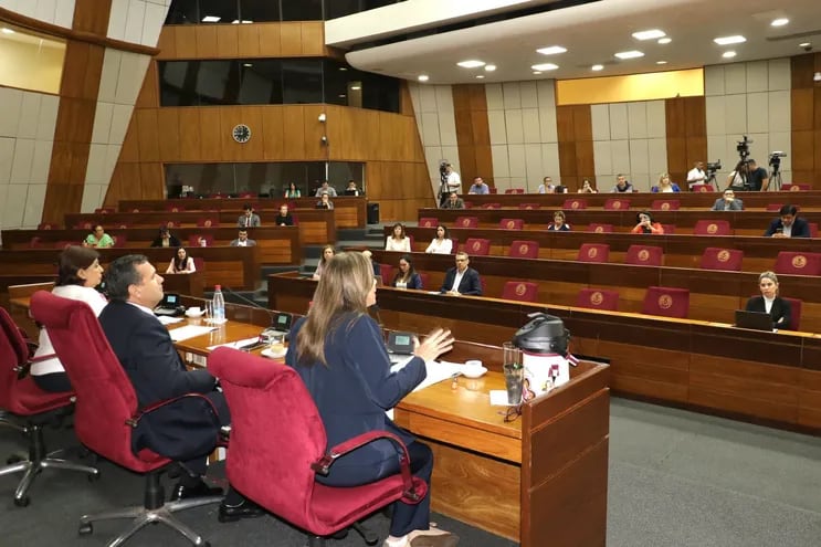 Audiencia Pública para debatir el proyecto de ley cartista de control a ONGs para quedarse con fondos del exterior. (Foto: Prensa Senado)