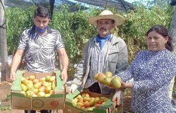 Productores muestran su cosecha de tomate.