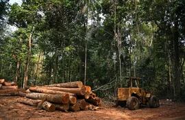 Deforestación en Alta Floresta, Mato Grosso, Brasil.