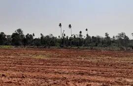 Deforestacion en paraguay 02 de Octubre de 2022