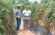 Los productores Gustavo Ortiz (izq.) y Alcides González (der.) con sus tomates listos para ser cosechados.