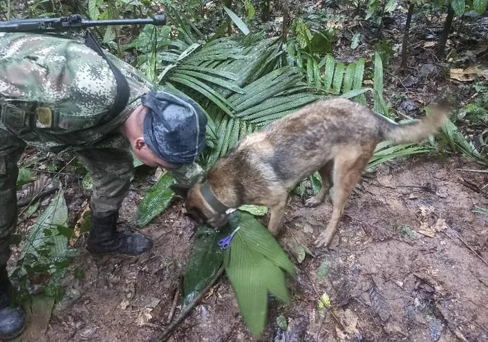 Un soldado con el can entrenado del ejército se posan sobre unas pequeñas tijeras que los niños habrían dejado a su paso.