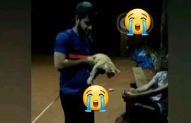 Captura del video que fue viralizado, en el cual se ve al joven maltratando al gato e intentando ahogarlo en un balde.