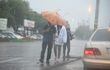 Tres peatones intentan cruzar la calle bajo la lluvia.