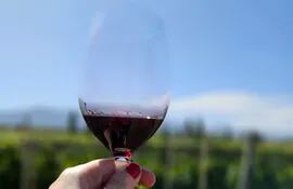 Copa de vino tinto, frente a un viñedo.