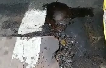 Hay un caño roto que pierde agua y daña el asfalto.