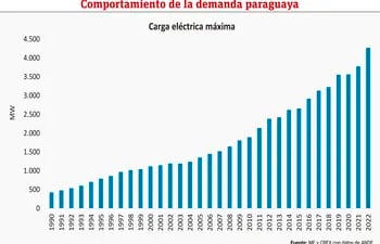 COMPORTAMIENTO DE LA DEMANDA PARAGUAYA