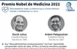 Los premiados con el Nobel de Medicina 2021 - AFP / AFP