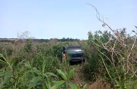 El vehículo utilizado por la gavilla de asaltantes fue encontrado en un yuyal en la ciudad de Minga Guazú.