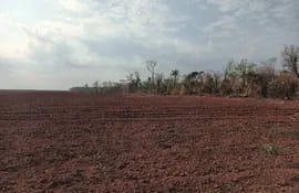 La fiscalía de Santa Rosa del Aguaray, investiga una supuesta deforestación en el distrito de Lima