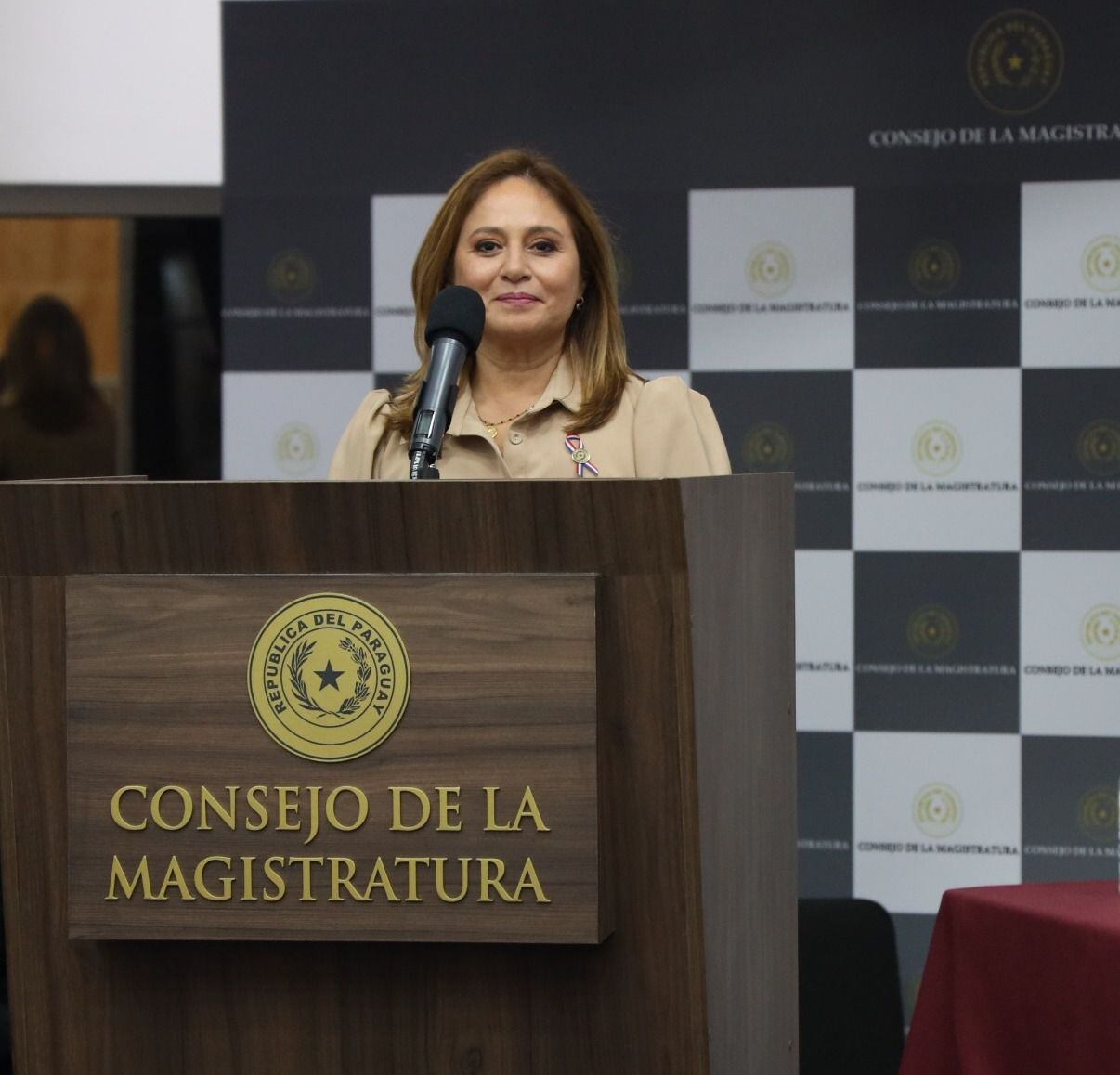 Dra. María Lorena Segovia Azúcas, en la audiencia pública para defensor general. 