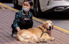 Un grupo de voluntarios se organiza en Shanghái para salvar a las mascotas encerradas cuyos dueños han sido aislados en centros de cuarentena por el covid-19,