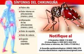 chikunguna-ya-se-habria-dispersado-al-interior-193703000000-1151053.jpg
