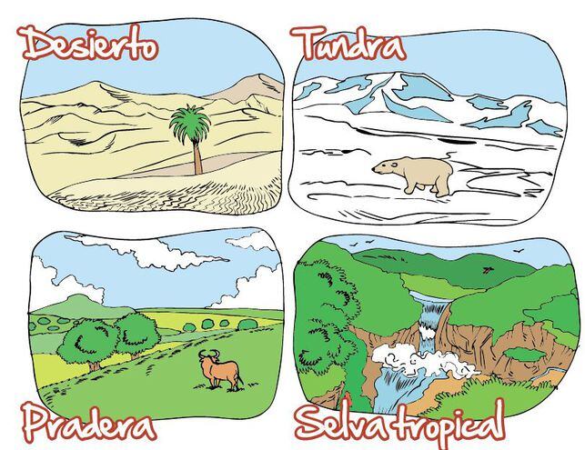 Biomas Terrestres Escolar Abc Color