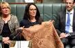 mujer-aborigen-pasa-de-no-ser-ciudadana-a-ser-parlamentaria-13346000000-1496260.jpg