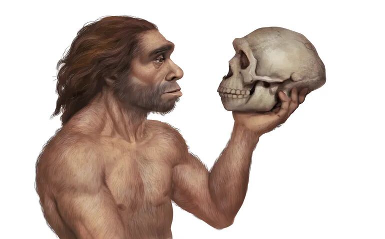 Para establecer si los neandertales podían tener un lenguaje, había que determinar si podían simbolizar conceptos y si tenían la capacidad anatómica necesaria para expresarlos, según el estudio publicado en la revista Nature Ecology and Evolution.