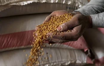 El aumento de las importaciones de alimentos hasta máximos históricos en los países pobres ha llevado a muchos de ellos a endeudarse a un nivel preocupante, por lo que han saltado las alarmas a la vista de una futura crisis.