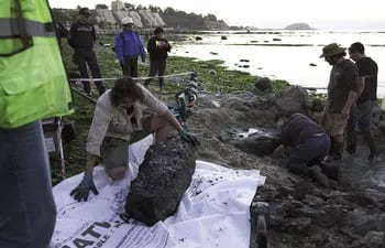 El paleontólogo Sergio Soto inspecciona los restos de lo que sería un fósil de reptil de unos 70 millones de años, en Chile.