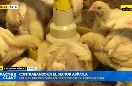 Contrabando en el sector avícola