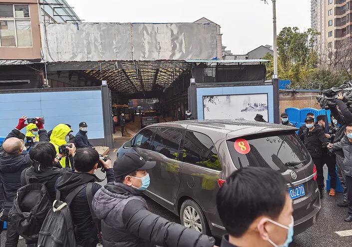 La misión de la OMS entrando al mercado de Wuhan, en cuyas cercanías se dieron los primeros casos del covid-19.