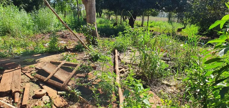 Escombros y yuyos  se encuentran ahora en uno de los gallineros de  la Gobernación de Alto Paraná, en la gestión de  Justo Zacarías. Costaron G. 9 millones cada uno.