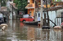 las-grandes-inundaciones-son-efectos-del-cambio-climatico-en-paraguay-las-consecuencias-pueden-ser-alarmantes-por-su-economia-del-rubro-agr-193200000000-1448776.jpg