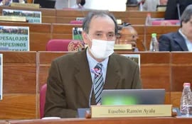 Senador Eusebio Ramón Ayala (PLRA). Foto Prensa Senado.