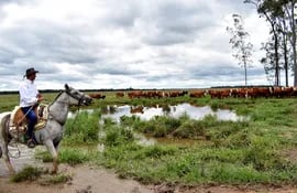 Imagen representativa de la ganadería bovina paraguaya publicada por la Asociación Rural del Paraguay (ARP),