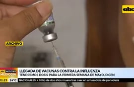 Vacunas antigripales llegarán en la primera semana de mayo